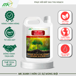 Phân bón hữu cơ MK AMIN BACILLUS (Can 5 lít)