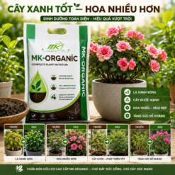 Phân Bón Hữu Cơ Organic MK Xanh 1KG Dạng Bột – Xanh Lá, Bung Chồi, Rễ Khỏe Cho Cây Cảnh