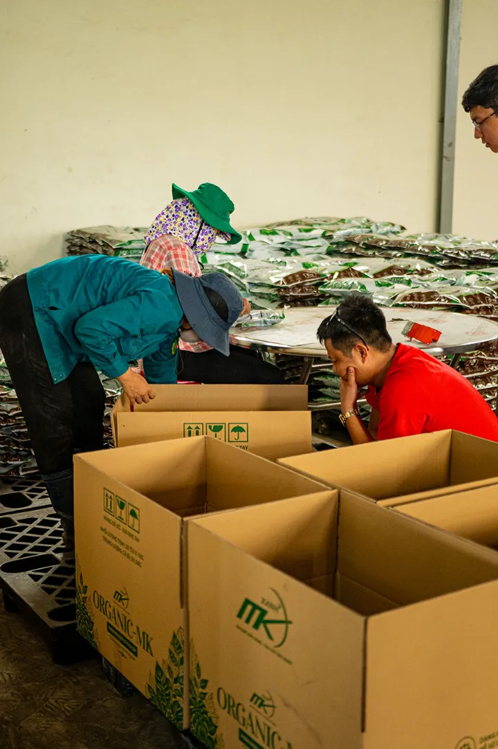 Công nhân đóng hàng vào thùng carton tại kho phân bón