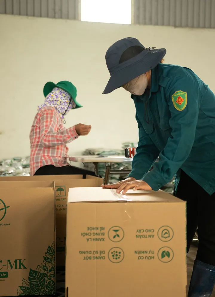 Công nhân kiểm tra và dán thùng hàng phân bón