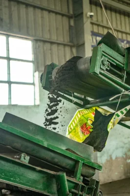 Băng tải đưa phân bón hữu cơ dạng bột vào bao